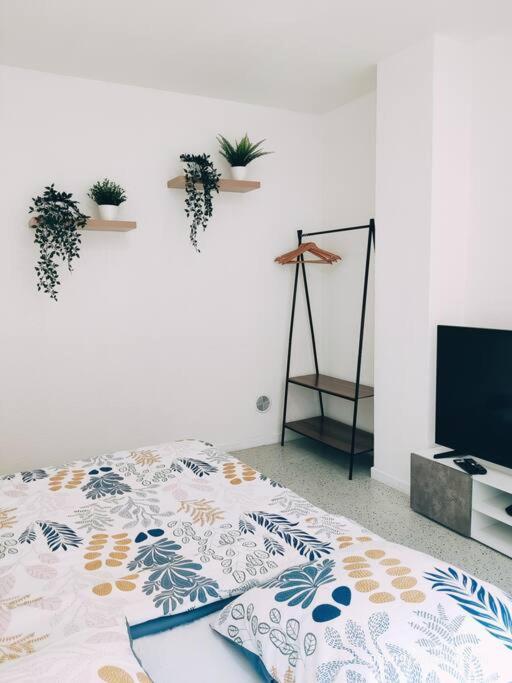 Magnifique Appartement T3 50 M2 Obernai Luaran gambar
